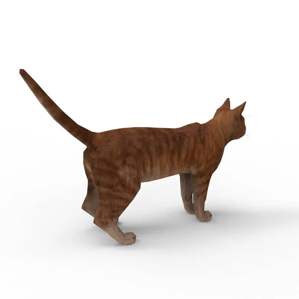 Illustration Cat Rendering Cat Created Using Blender Tool — Stock Photo, Image