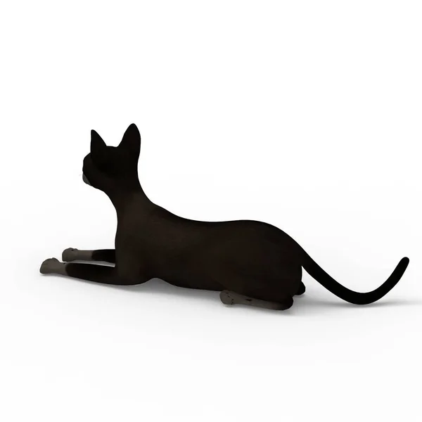 Ilustração Gato Renderização Gato Criado Usando Uma Ferramenta Liquidificador — Fotografia de Stock