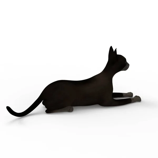 Иллюстрация Кошки Рендеринг Кошки Созданный Помощью Инструмента Блендера — стоковое фото