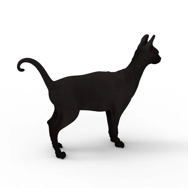 猫のイラスト ブレンダーツールを使用して作成された猫の3Dレンダリング — ストック写真