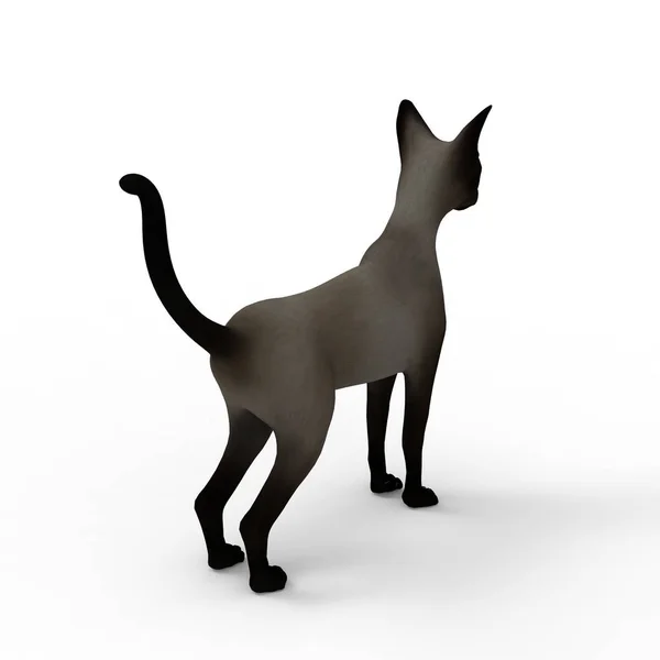 Ilustración Gato Representación Gato Creado Mediante Uso Una Herramienta Licuadora — Foto de Stock