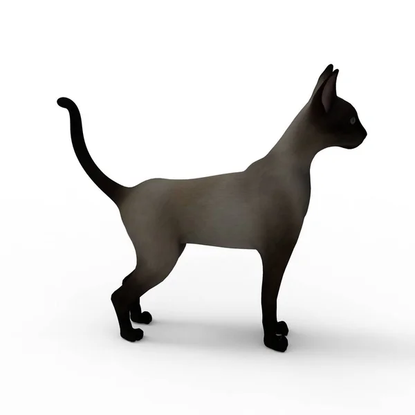 Ilustración Gato Representación Gato Creado Mediante Uso Una Herramienta Licuadora — Foto de Stock