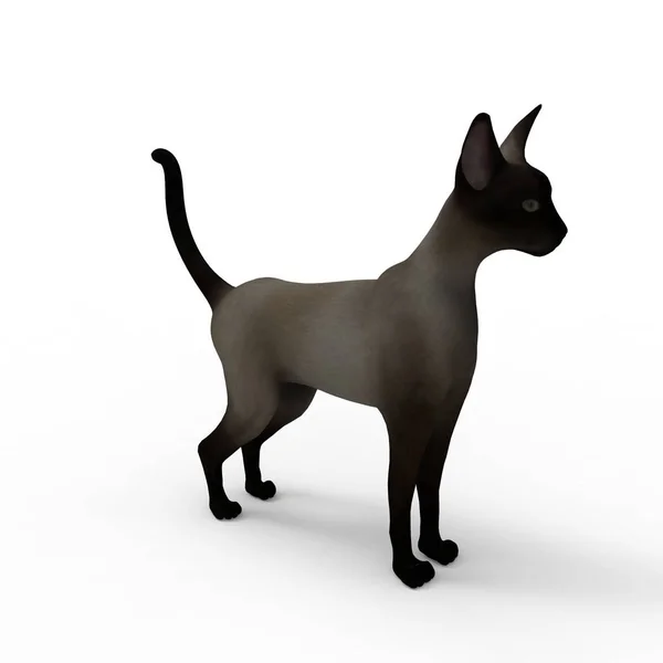 Ilustraci Kočky Prostorové Vykreslování Kočky Vytvořené Pomocí Nástroje Mixéru — Stock fotografie
