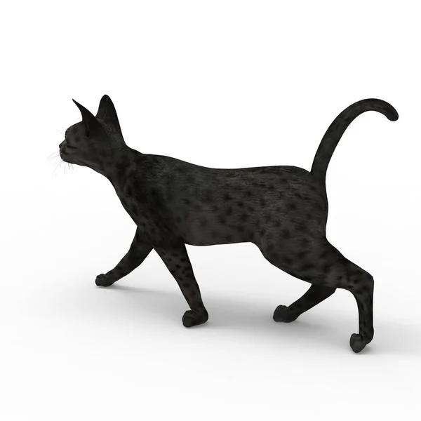 Иллюстрация Кошки Рендеринг Кошки Созданный Помощью Инструмента Блендера — стоковое фото