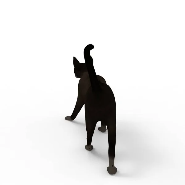 Illustration Katt Rendering Cat Skapad Med Hjälp Ett Mixer Verktyg — Stockfoto