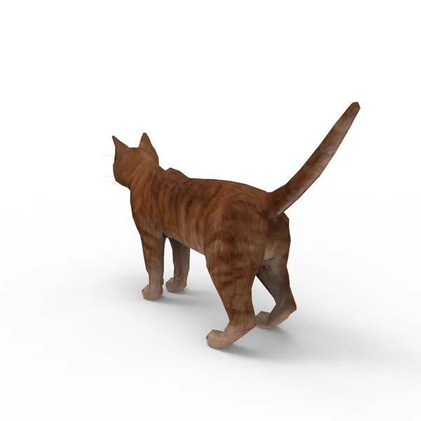 Illustration Cat Rendering Cat Created Using Blender Tool — Stock Photo, Image