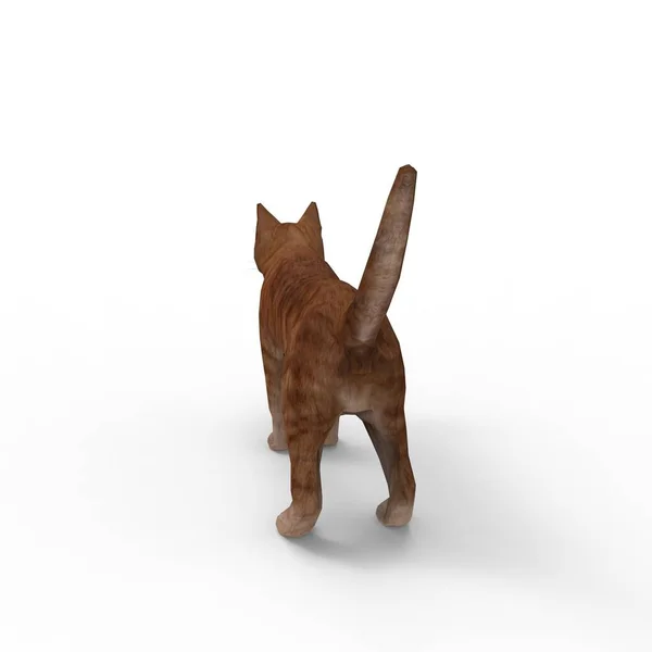 猫的插图 使用搅拌机工具创建的猫的3D渲染 — 图库照片