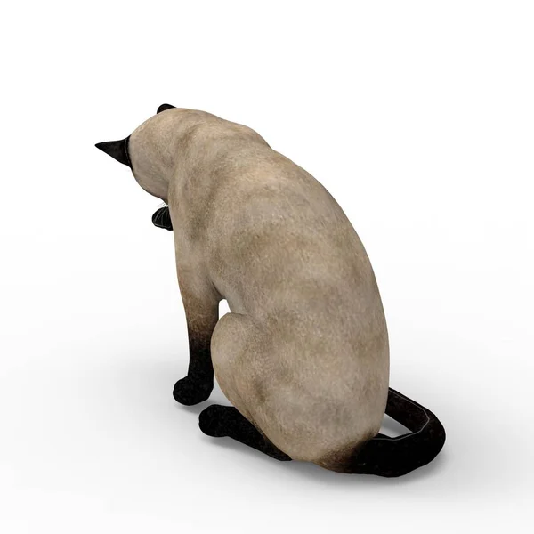 猫的插图 使用搅拌机工具创建的猫的3D渲染 — 图库照片