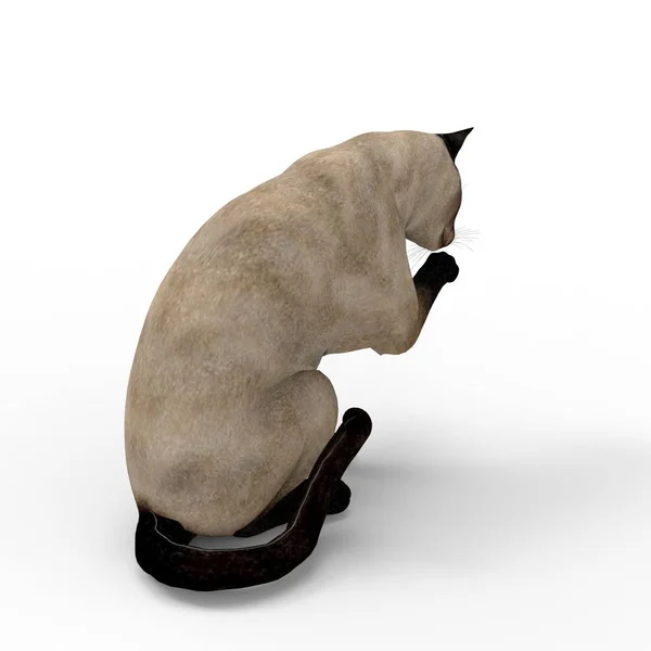 Εικόνα Της Γάτας Απόδοση Της Γάτας Που Δημιουργήθηκε Χρήση Ενός — Φωτογραφία Αρχείου
