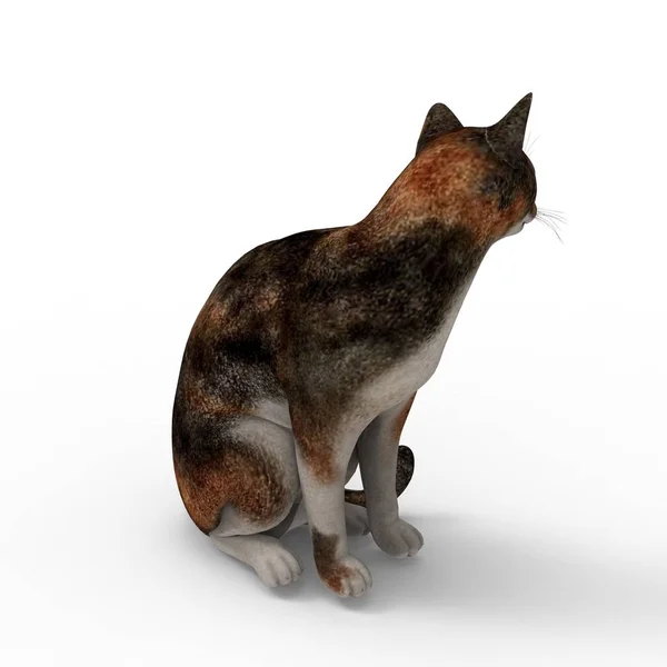 猫的插图 使用搅拌机工具创建的猫的3D渲染 — 图库照片