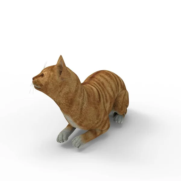 猫的插图 使用搅拌机工具创建的猫的3D渲染 — 图库照片