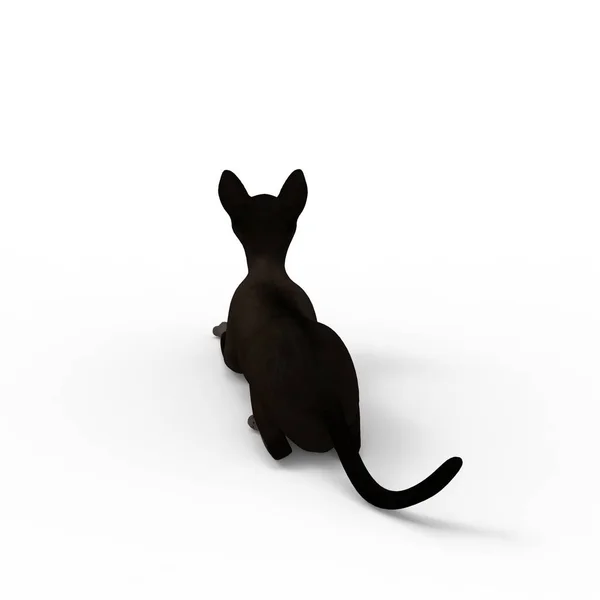 Illustration Cat Rendering Cat Created Using Blender Tool — Stock Photo, Image