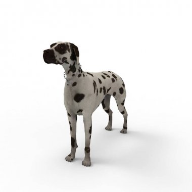 Bir blender aracı kullanılarak oluşturulan köpek 3d render