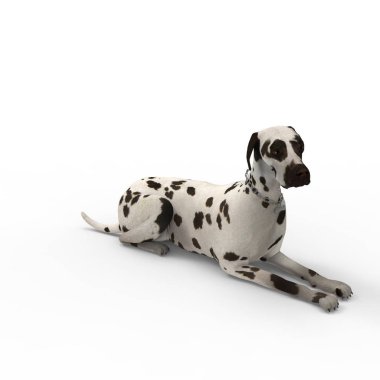 Bir blender aracı kullanılarak oluşturulan köpek 3d render