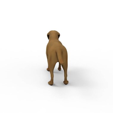 Bir blender aracı kullanılarak oluşturulan köpek 3d render
