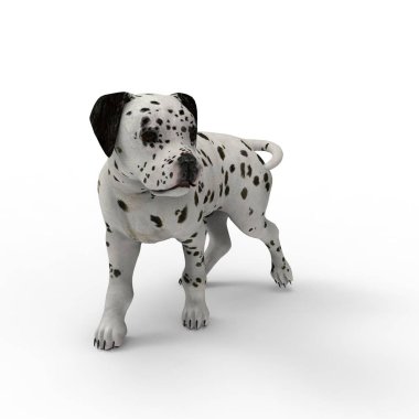 Bir blender aracı kullanılarak oluşturulan köpek 3d render