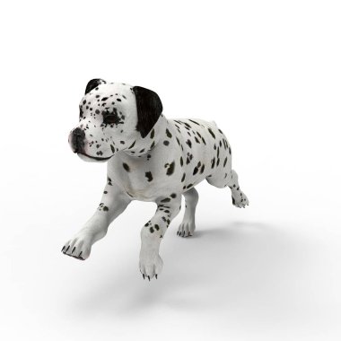 Bir blender aracı kullanılarak oluşturulan köpek 3d render