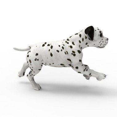 Bir blender aracı kullanılarak oluşturulan köpek 3d render