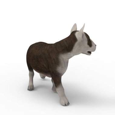 Bir blender aracı kullanılarak oluşturulan köpek 3d render