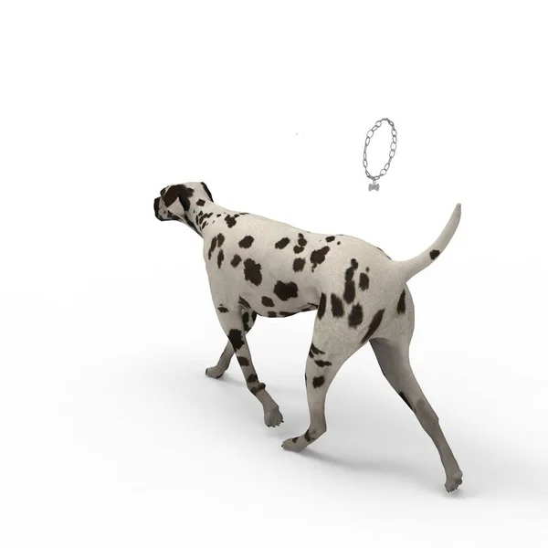 Rendering 3d di cane creato utilizzando uno strumento frullatore — Foto Stock