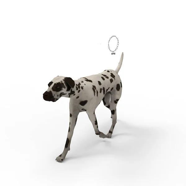 3d rendering of dog created by using a blender tool — Stock Photo, Image