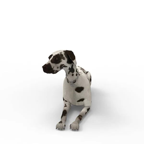 Renderowanie 3D psa utworzonego za pomocą narzędzia miksera — Zdjęcie stockowe