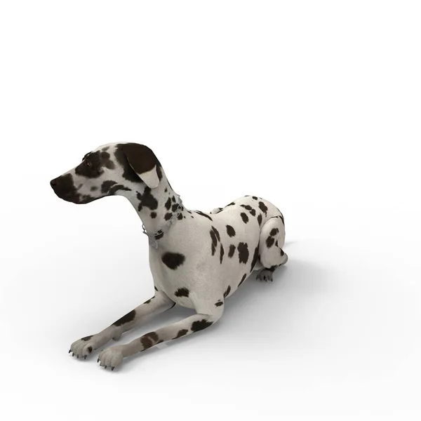 Rendering 3d di cane creato utilizzando uno strumento frullatore — Foto Stock