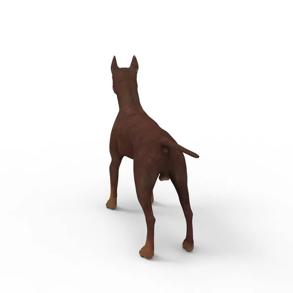 3D-Rendering von Hund erstellt mit einem Mixer-Tool — Stockfoto