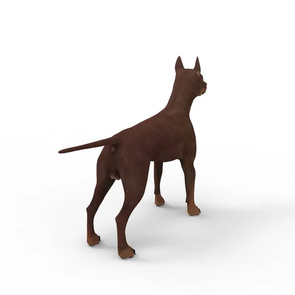 3d renderização de cão criado usando uma ferramenta de liquidificador — Fotografia de Stock