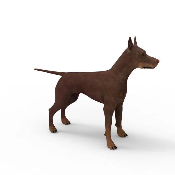 3D-rendering av hund skapad med hjälp av en mixer verktyg — Stockfoto