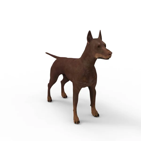 Bir blender aracı kullanılarak oluşturulan köpek 3d render — Stok fotoğraf