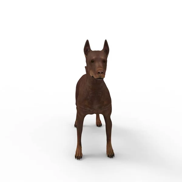 3D απόδοση σκύλου που δημιουργήθηκε με τη χρήση ενός εργαλείου μπλέντερ — Φωτογραφία Αρχείου