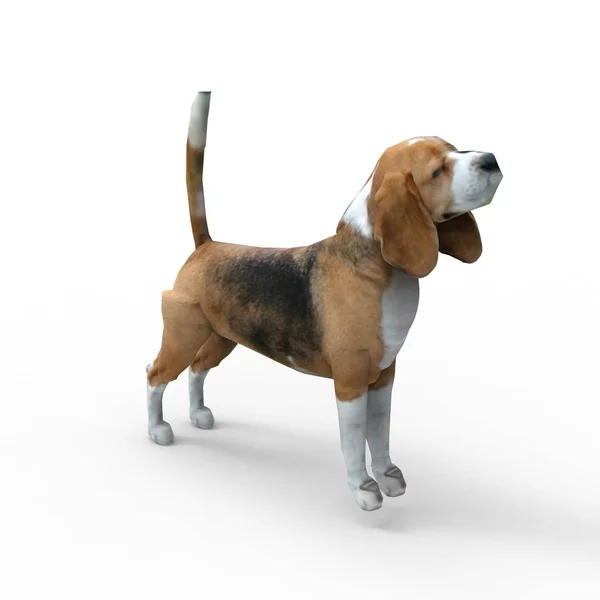 Rendering 3d di cane creato utilizzando uno strumento frullatore — Foto Stock