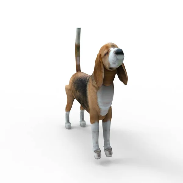 Render 3d anjing yang dibuat dengan menggunakan perkakas blender — Stok Foto