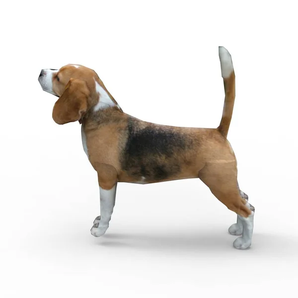 3D-rendering van hond gemaakt met een blender tool — Stockfoto