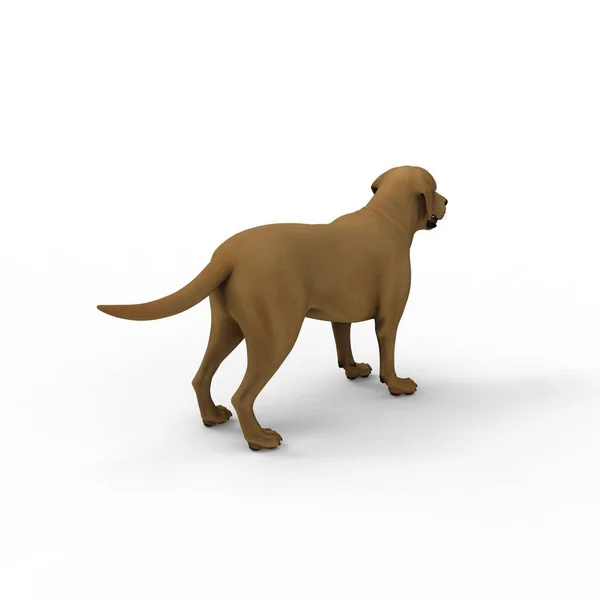 3D-Rendering von Hund erstellt mit einem Mixer-Tool — Stockfoto