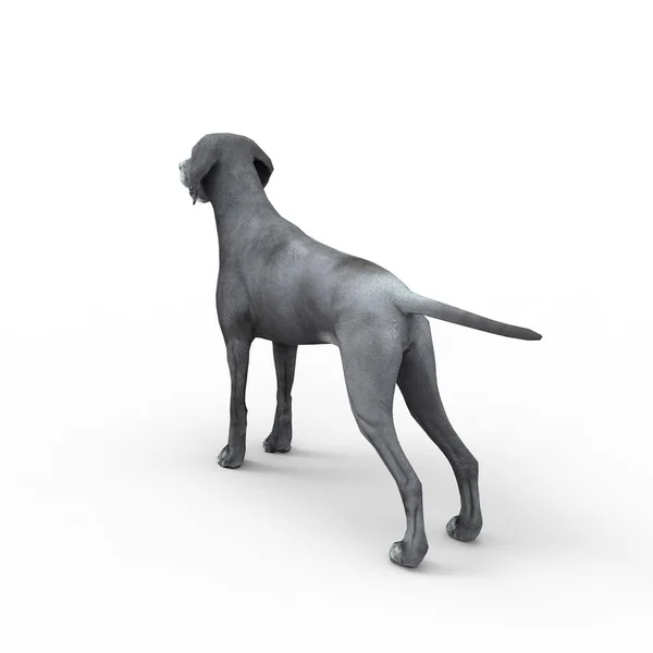 3d representación de perro creado mediante el uso de una herramienta de licuadora —  Fotos de Stock