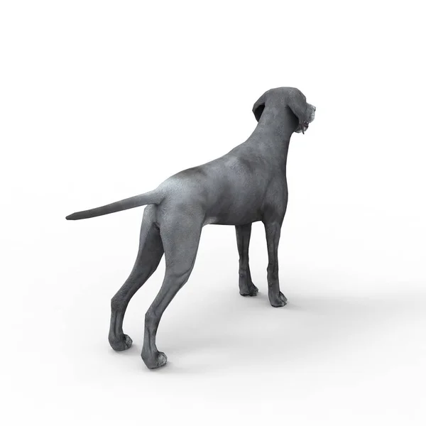 3d renderização de cão criado usando uma ferramenta de liquidificador — Fotografia de Stock