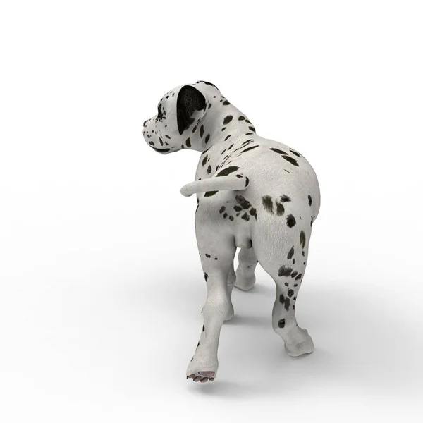 3d renderização de cão criado usando uma ferramenta de liquidificador — Fotografia de Stock