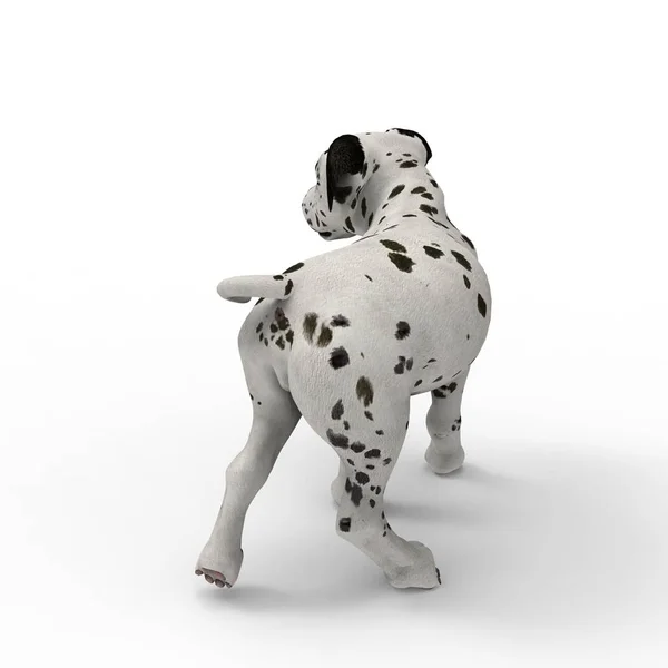 3d representación de perro creado mediante el uso de una herramienta de licuadora — Foto de Stock