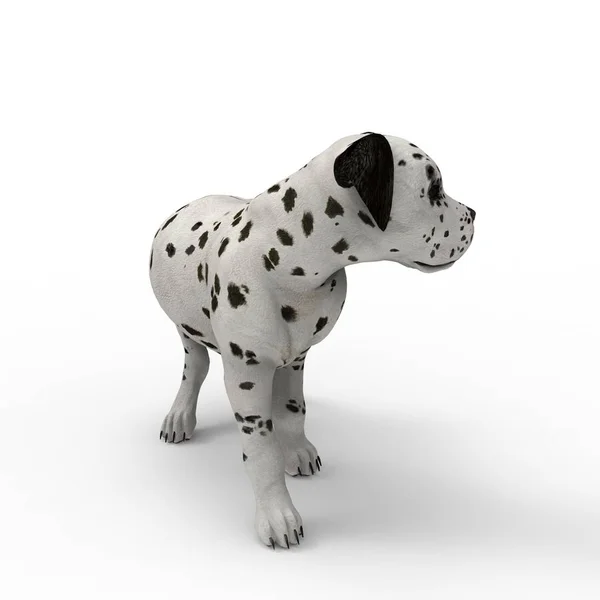 3D-rendering av hund skapad med hjälp av en mixer verktyg — Stockfoto