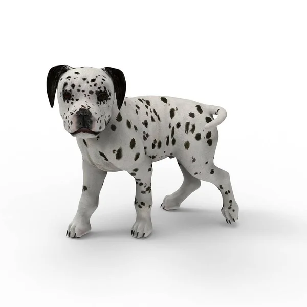 使用搅拌机工具创建的狗的3D渲染 — 图库照片