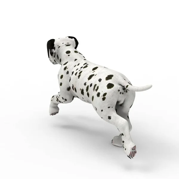 3D-rendering van hond gemaakt met een blender tool — Stockfoto