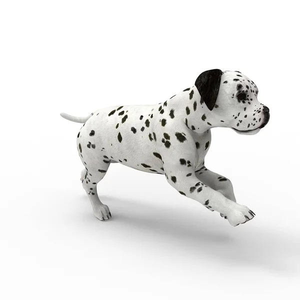 3d representación de perro creado mediante el uso de una herramienta de licuadora —  Fotos de Stock