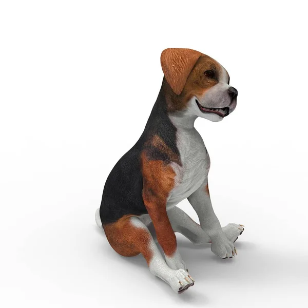 3d rendering of dog created by using a blender tool — Stock Photo, Image