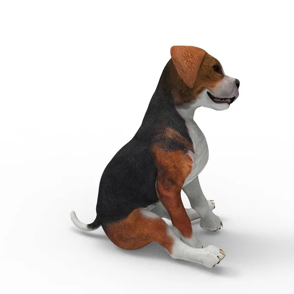 3D-rendering van hond gemaakt met een blender tool — Stockfoto