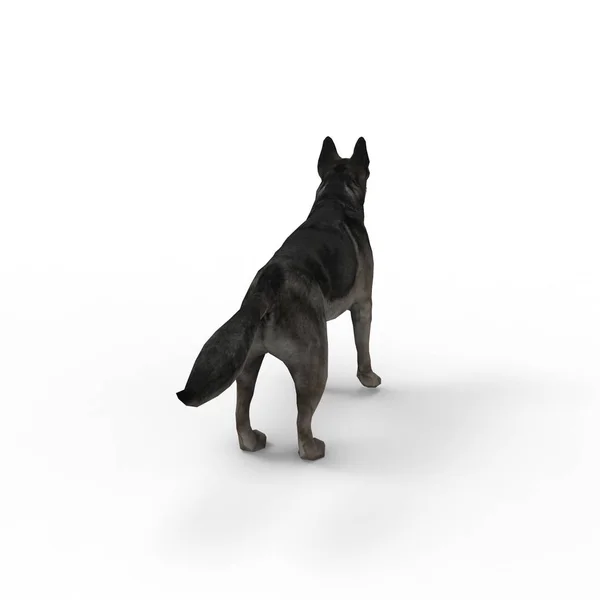 3d rendering of dog created by using a blender tool — Stock Photo, Image