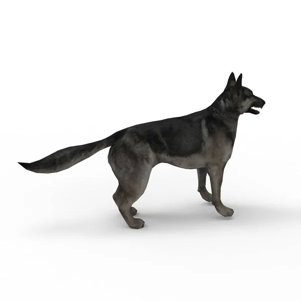 3d rendering of dog created by using a blender tool — Stock Photo, Image