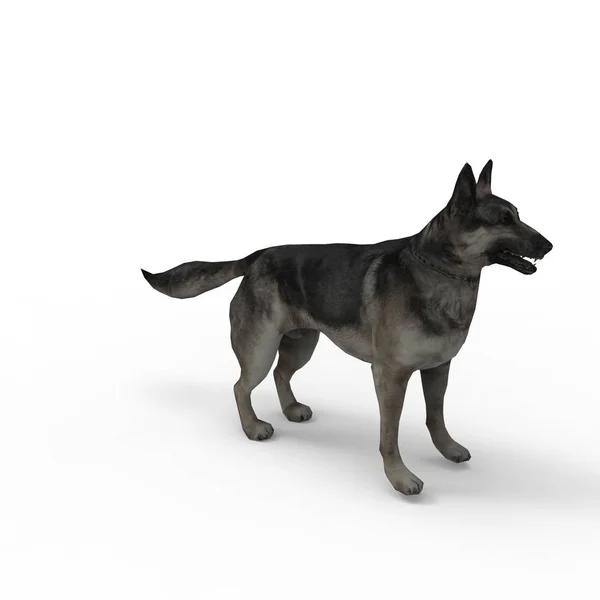 블렌더 도구를 사용하여 만든 강아지의 3D 렌더링 — 스톡 사진