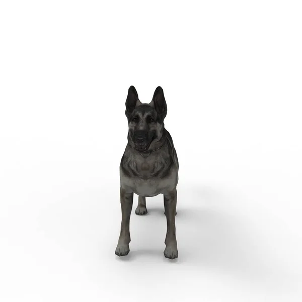 3D-rendering van hond gemaakt met een blender tool — Stockfoto